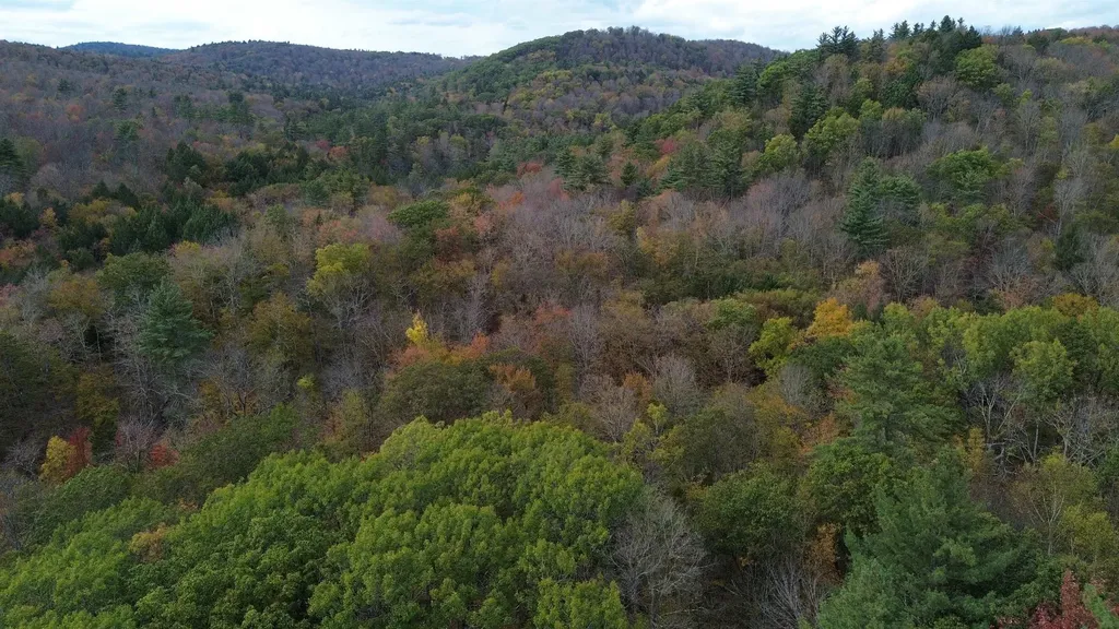 1499 Josh Road Halifax VT 05358-1499