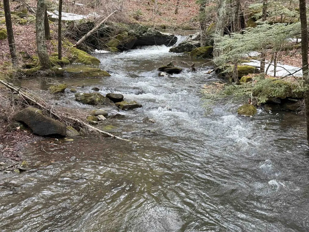 1499 Josh Road Halifax VT 05358-1499