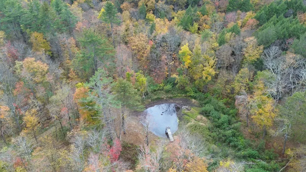 1499 Josh Road Halifax VT 05358-1499