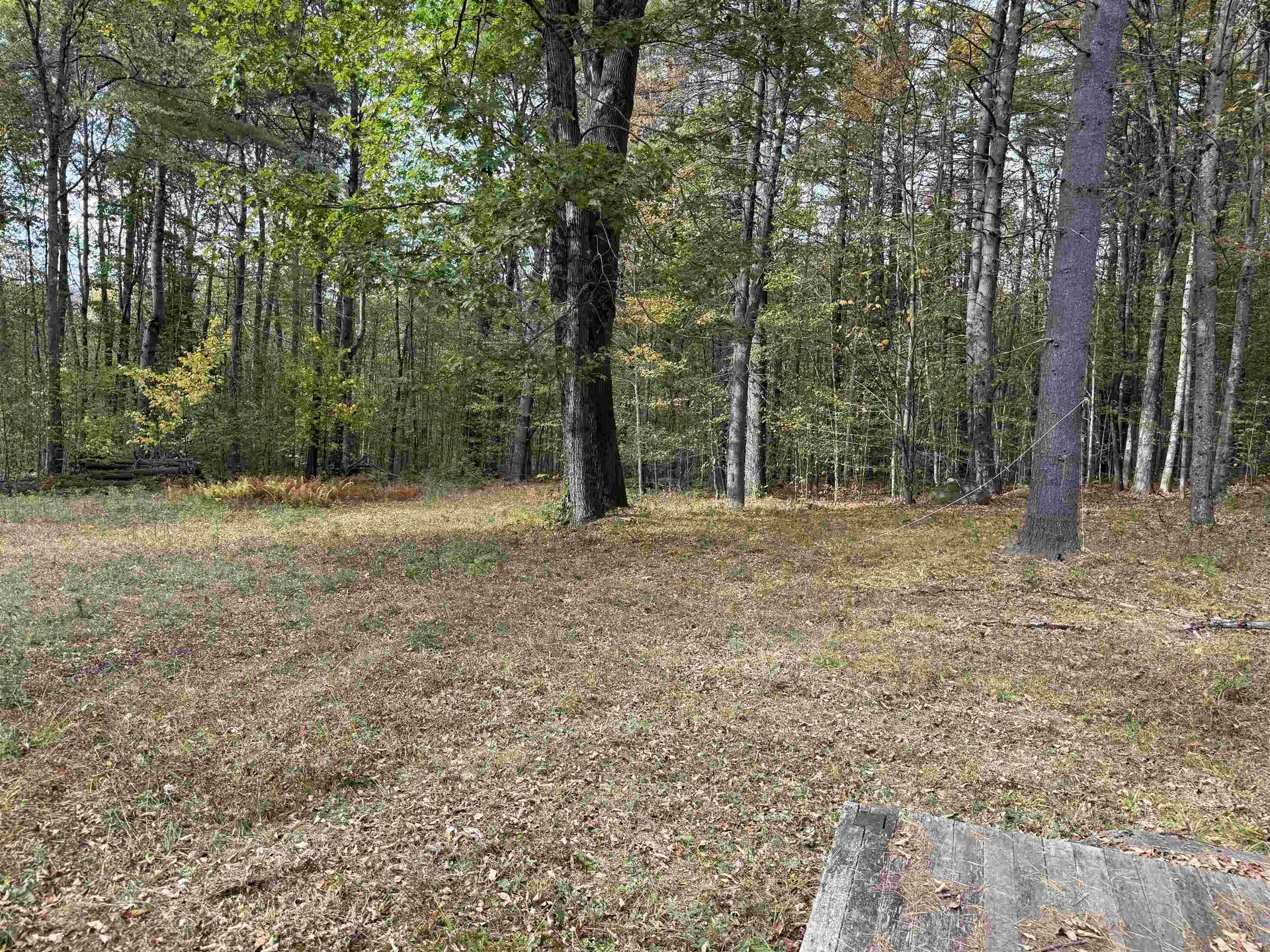 1499 Josh Road Halifax VT 05358-1499