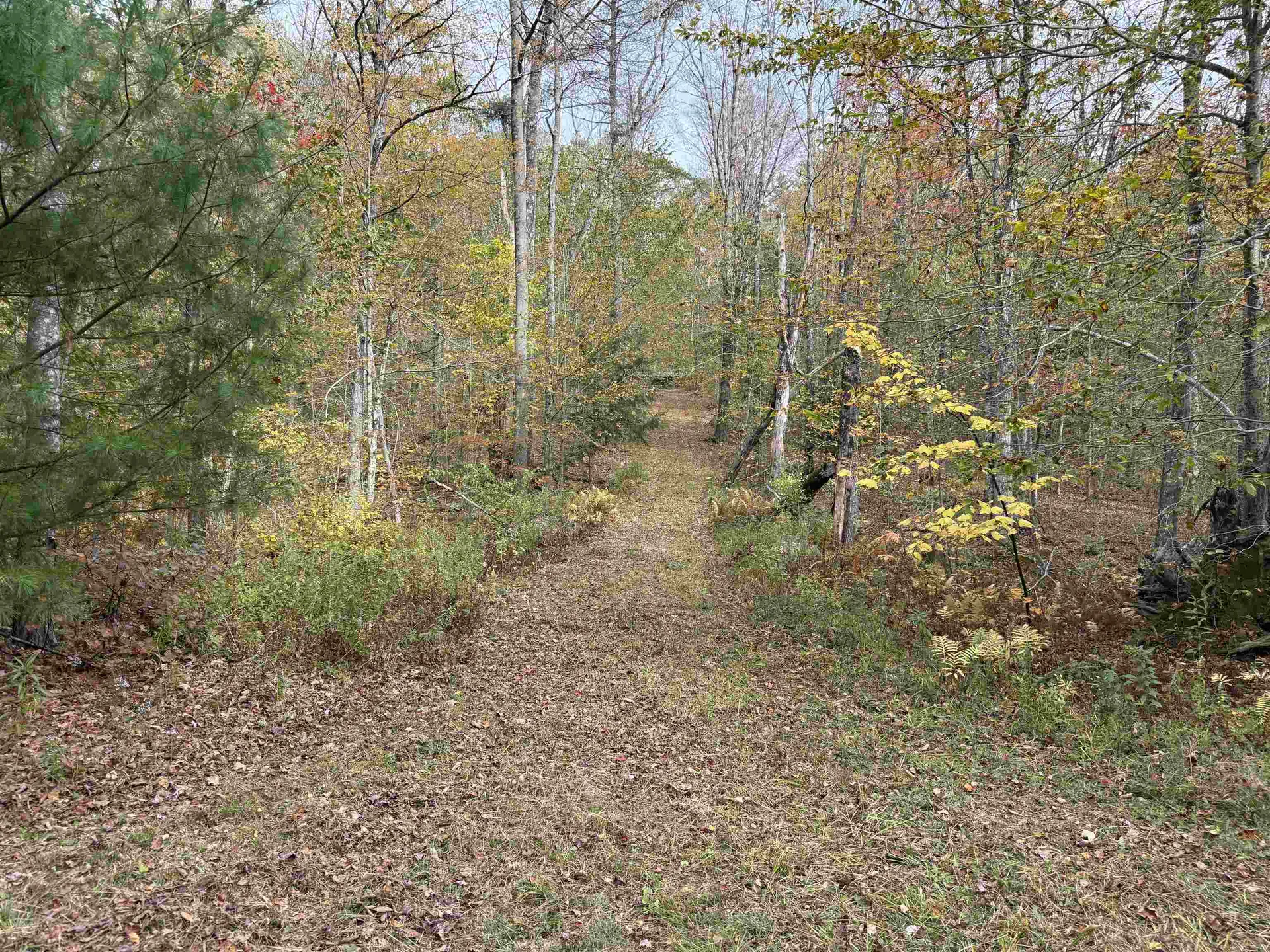 1499 Josh Road Halifax VT 05358-1499