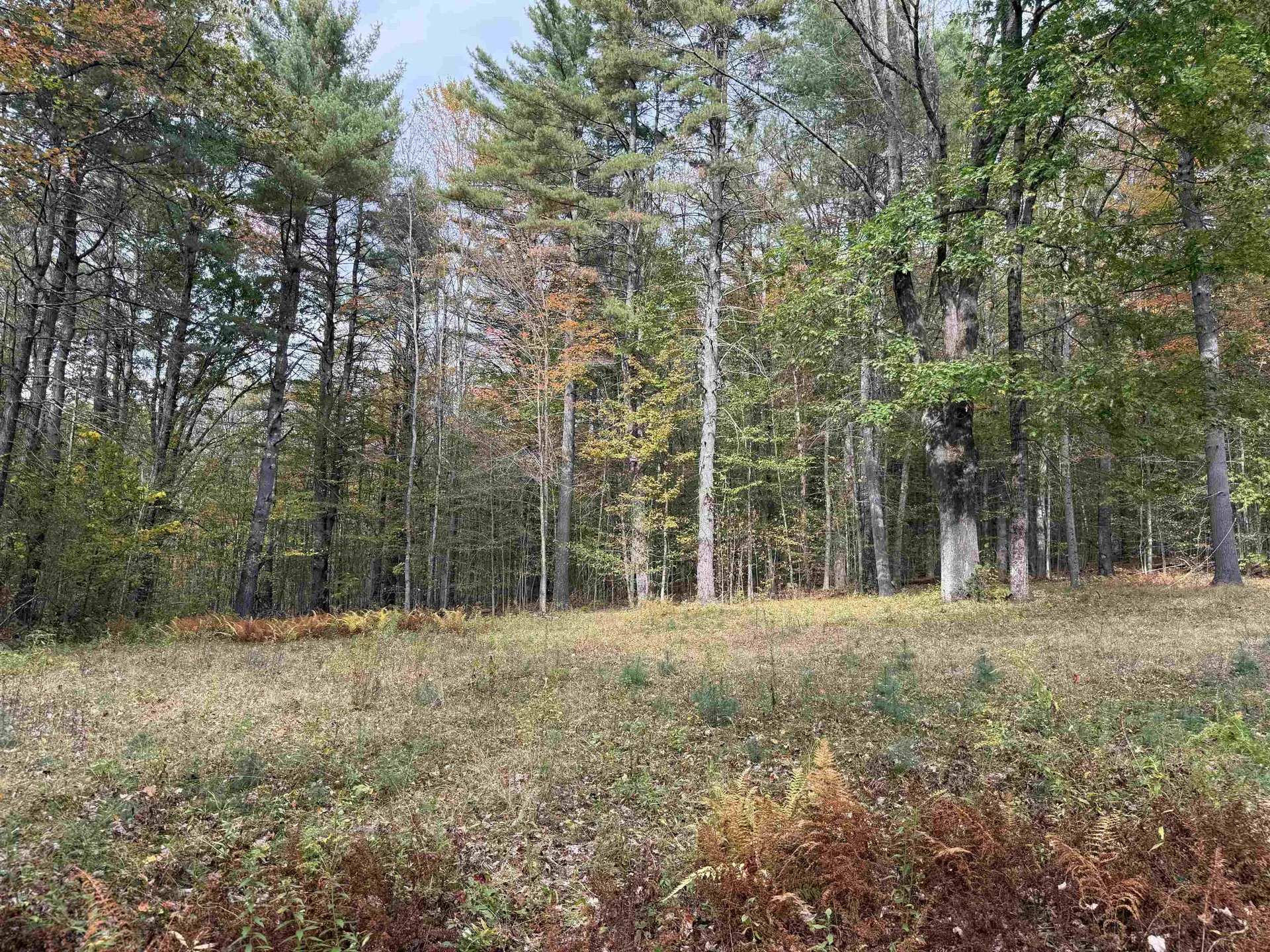 1499 Josh Road Halifax VT 05358-1499