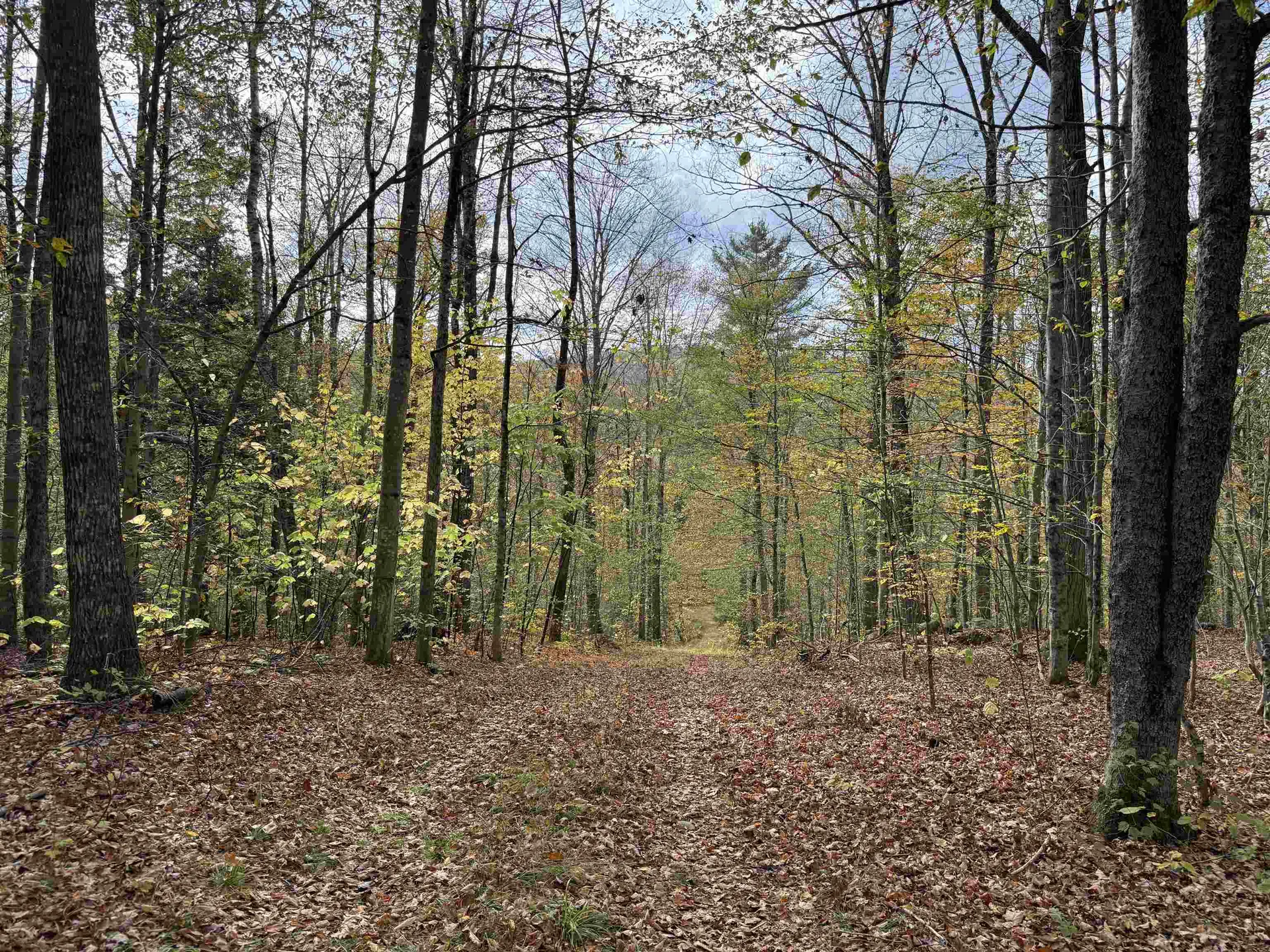 1499 Josh Road Halifax VT 05358-1499