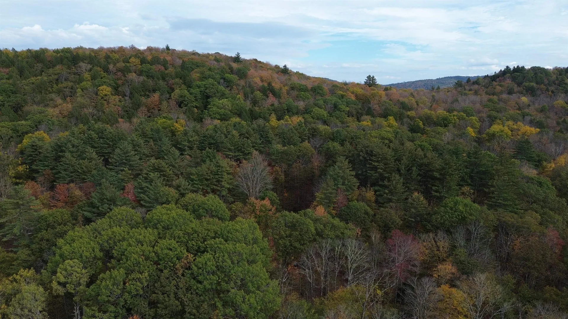 1499 Josh Road Halifax VT 05358-1499