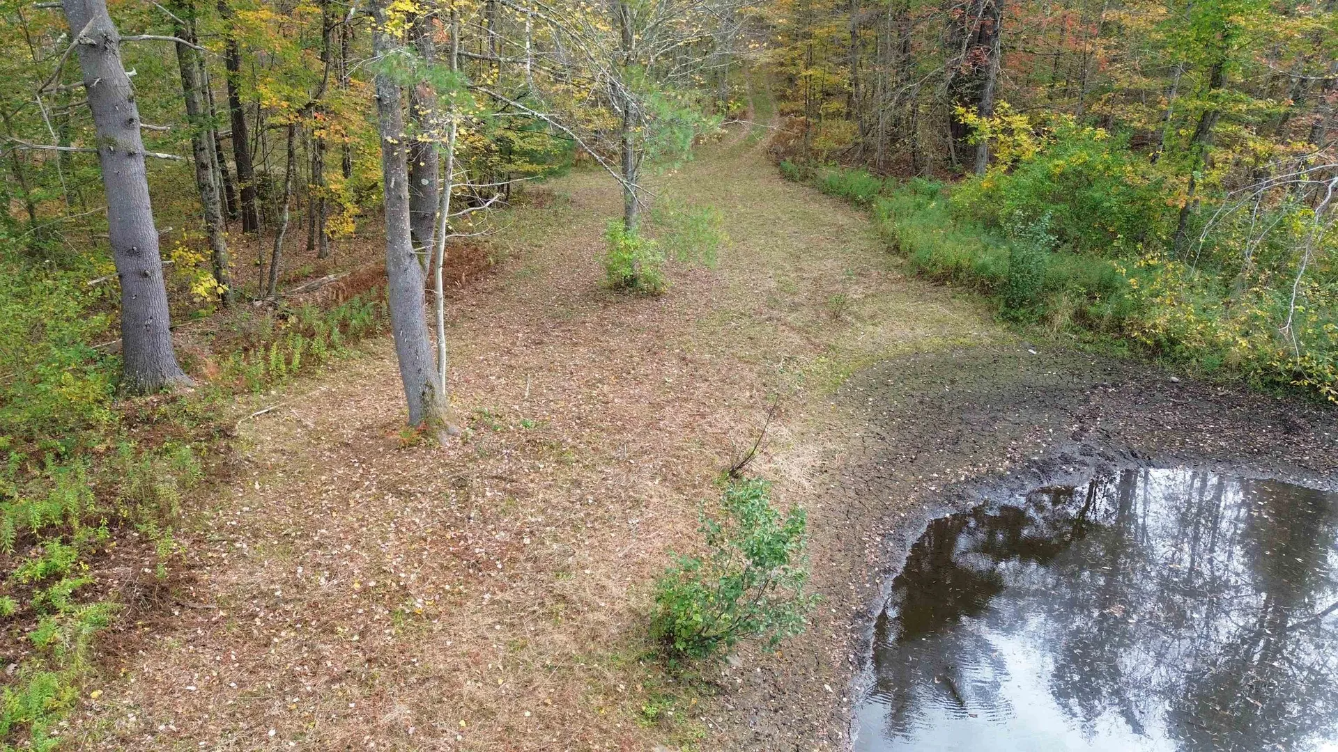 1499 Josh Road Halifax VT 05358-1499