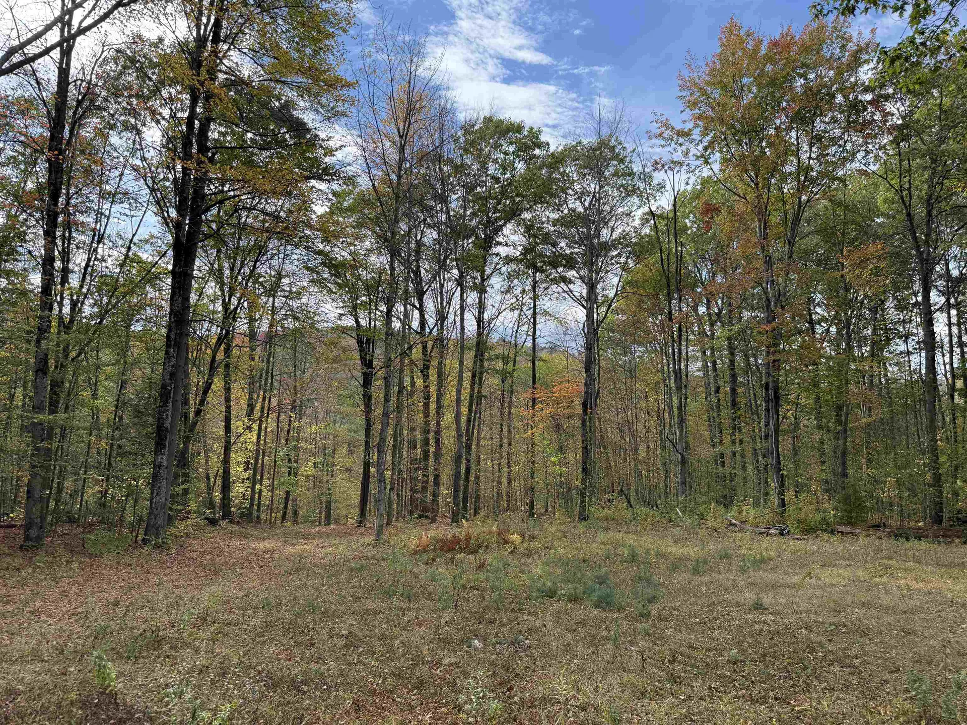 1499 Josh Road Halifax VT 05358-1499