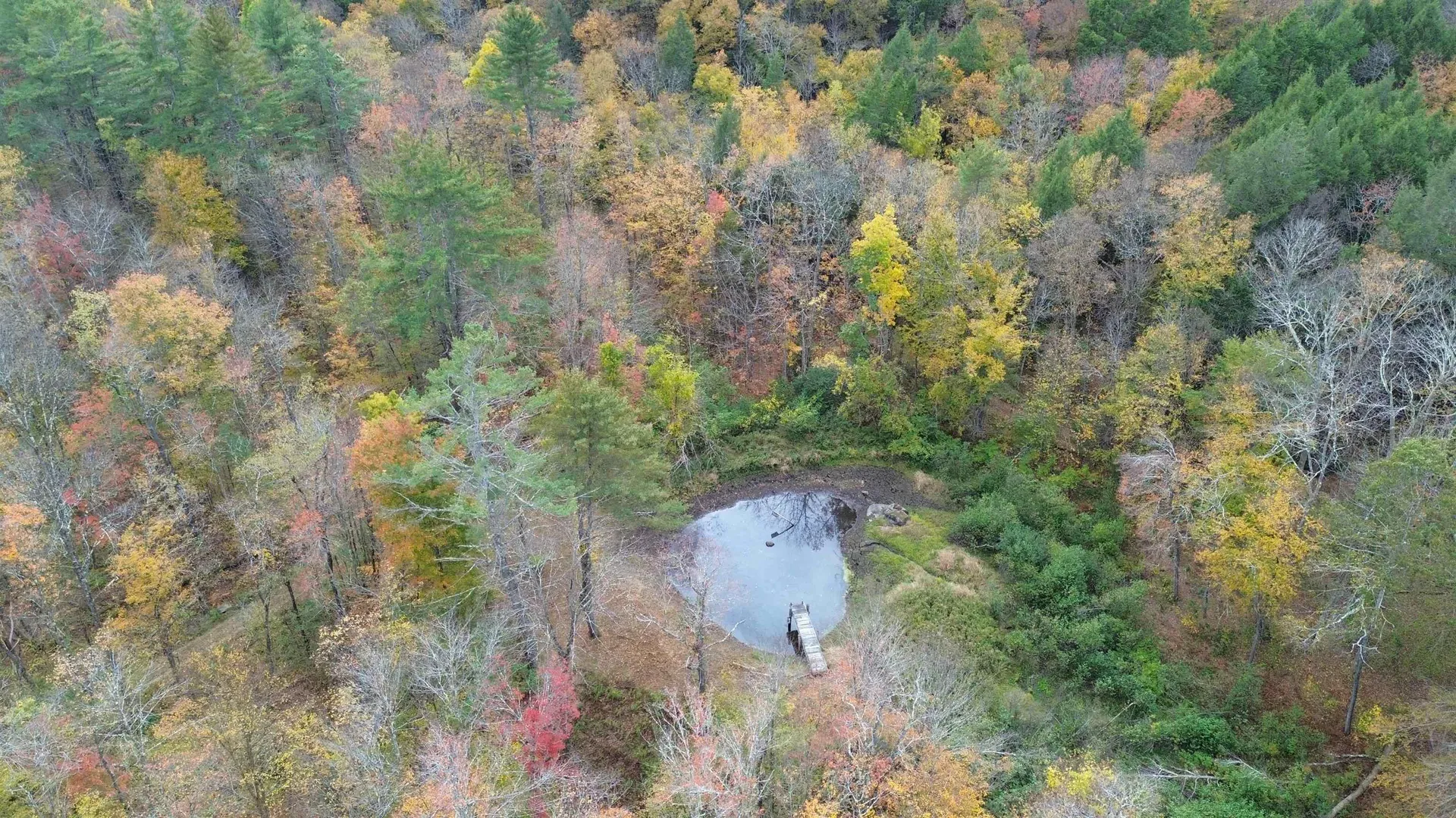 1499 Josh Road Halifax VT 05358-1499