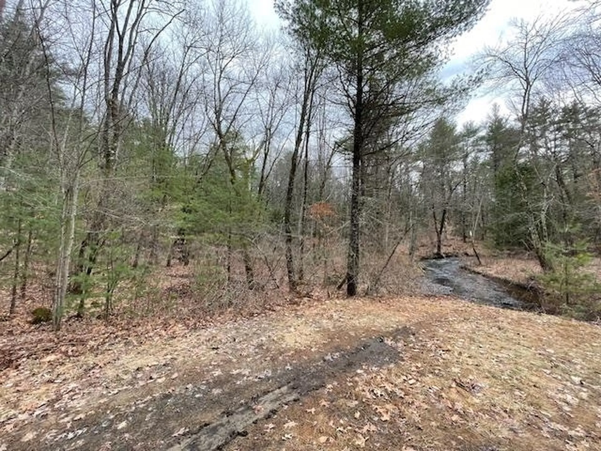 Pingree Hill Road Auburn NH 03032