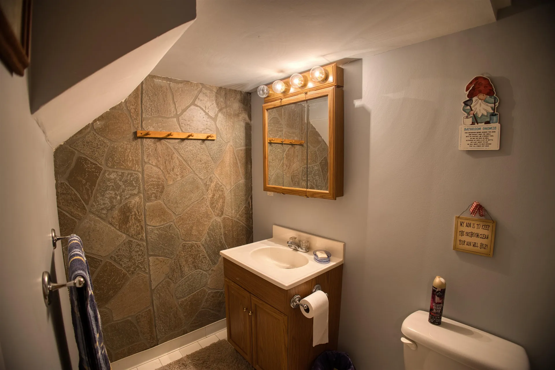 9 Abenaki Drive Freedom NH 03836