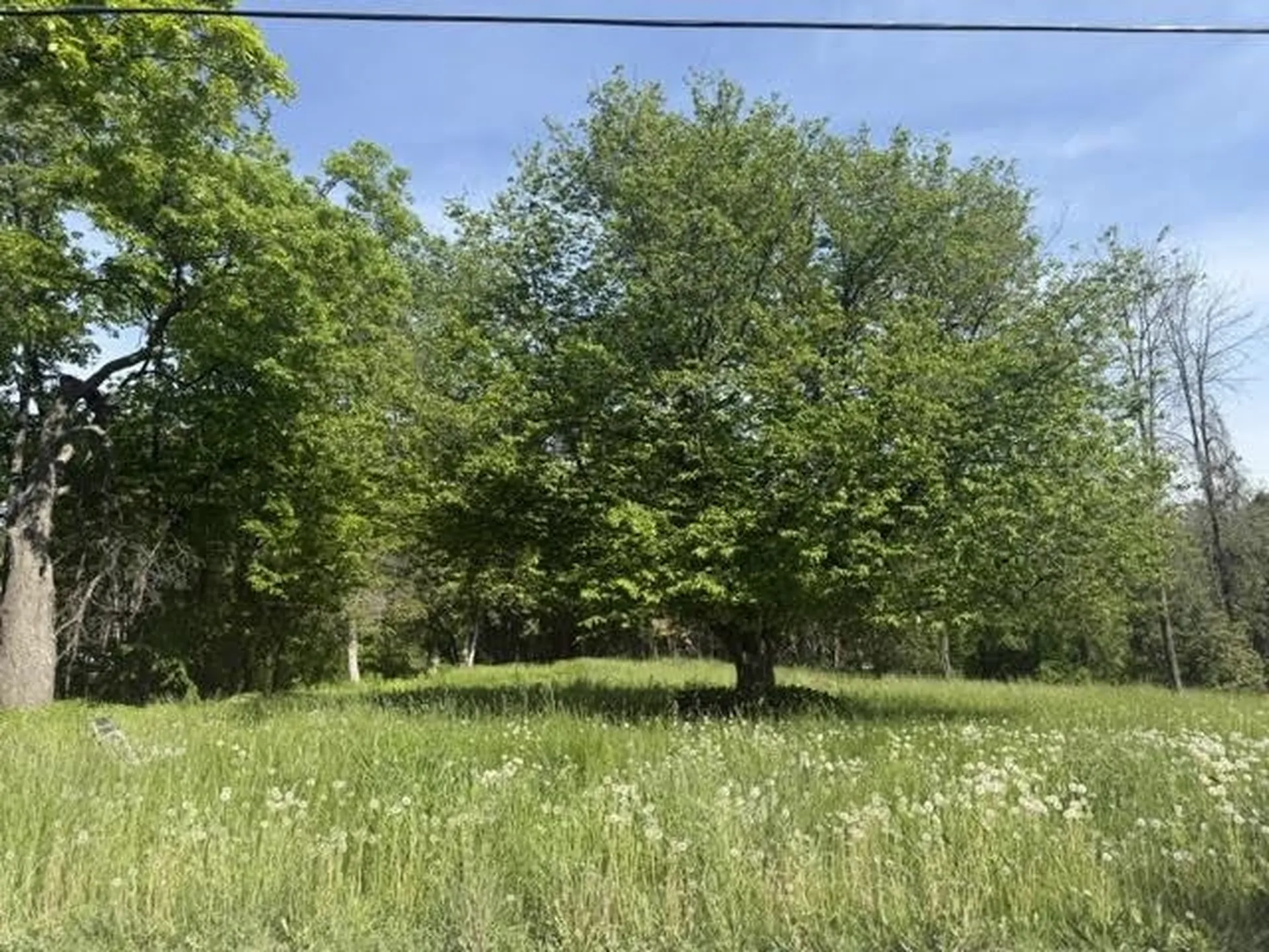 487 Country Club Road Highgate VT 05459
