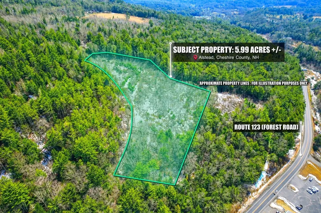 Lot 9-29 Murphy Hill Road Alstead NH 03602