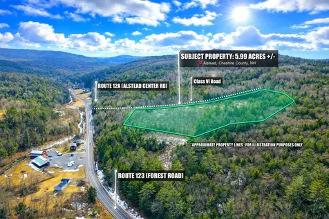 Lot 9-29 Murphy Hill Road Alstead NH 03602