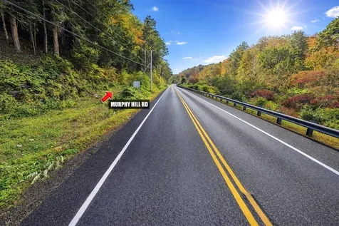 Lot 9-29 Murphy Hill Road Alstead NH 03602