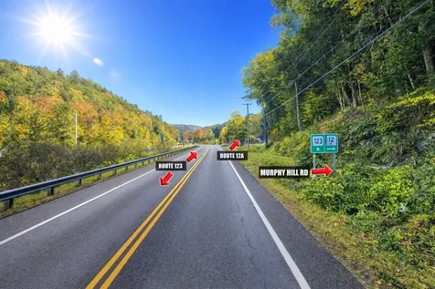 Lot 9-29 Murphy Hill Road Alstead NH 03602