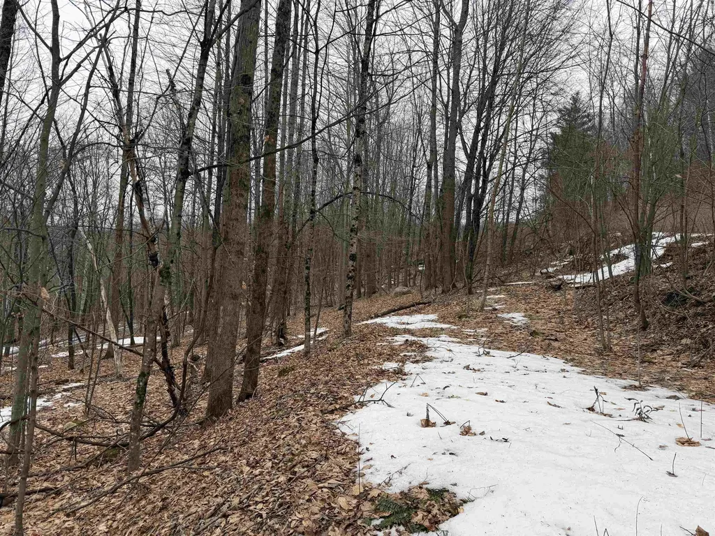 194 Mine Road Strafford VT 05072