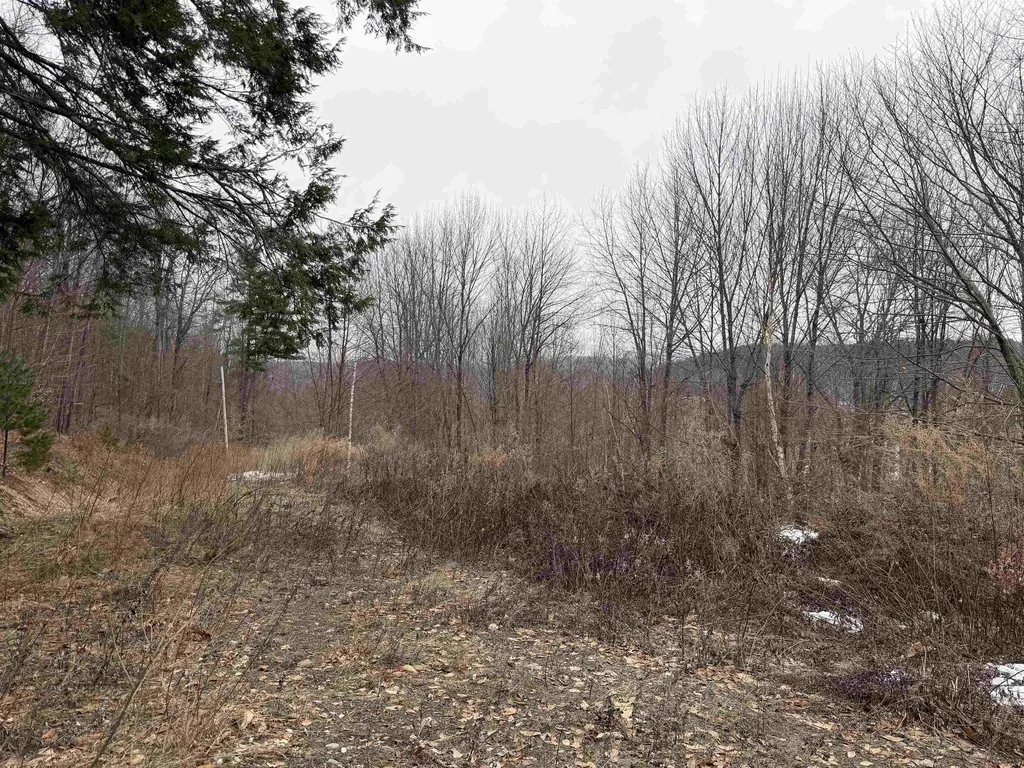 194 Mine Road Strafford VT 05072