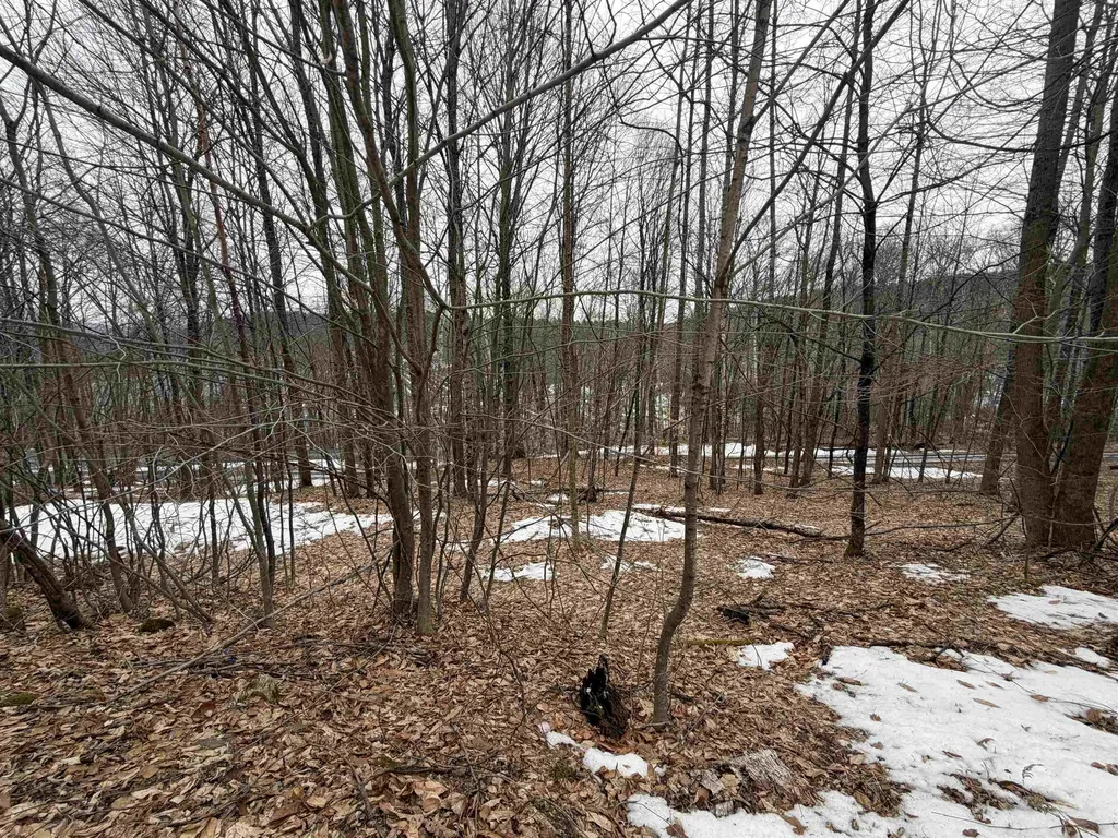 194 Mine Road Strafford VT 05072