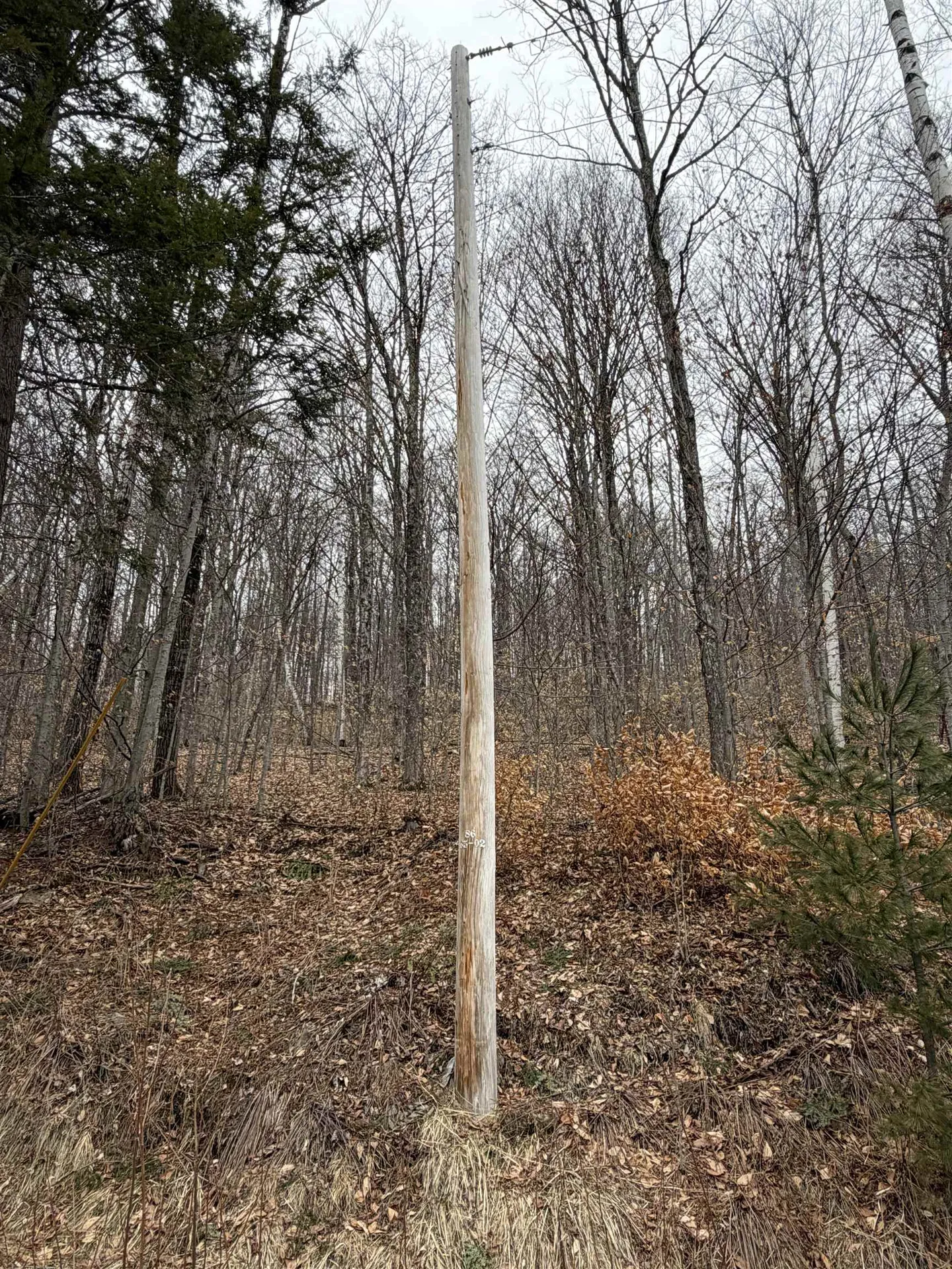 194 Mine Road Strafford VT 05072