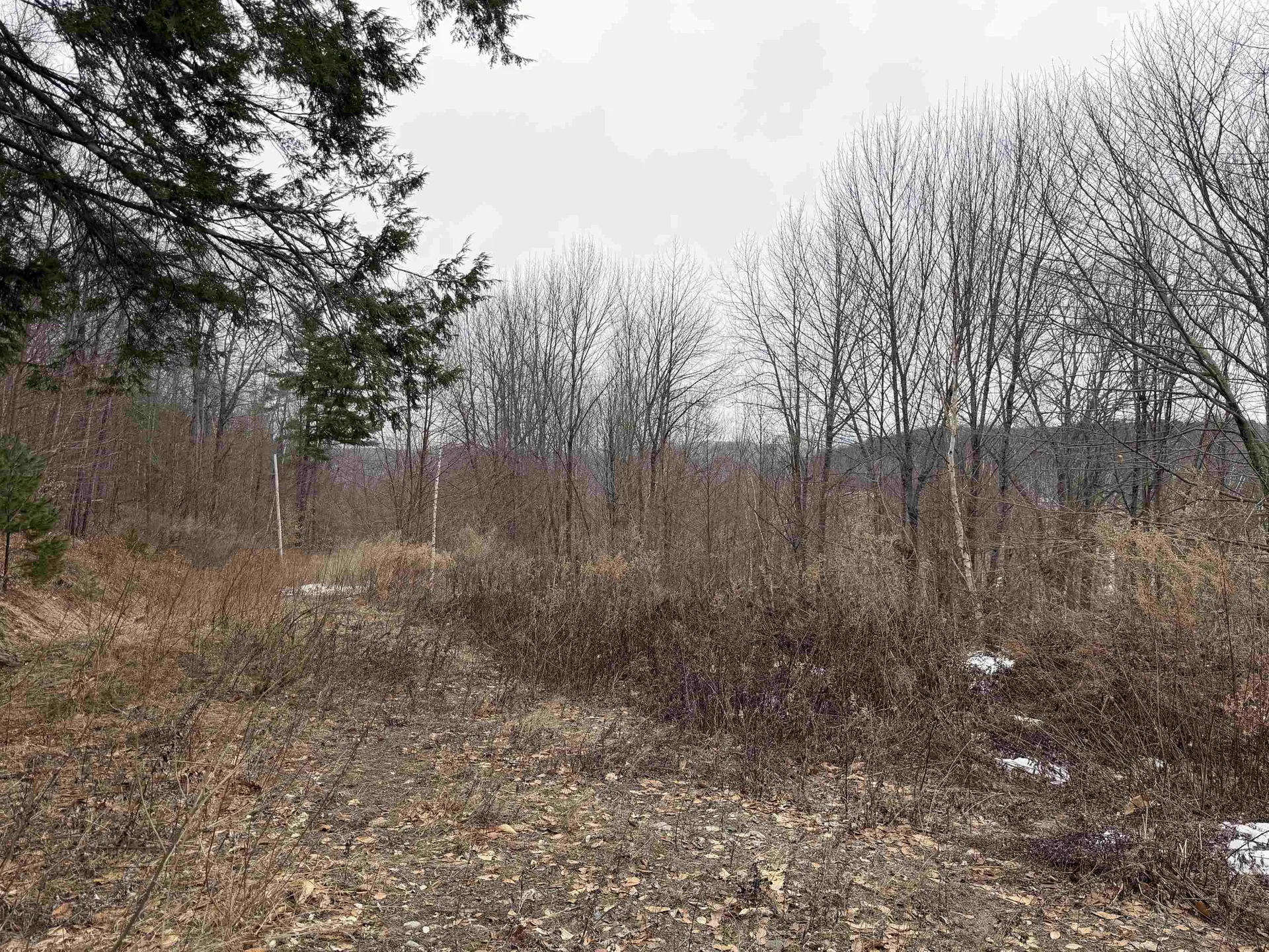 194 Mine Road Strafford VT 05072