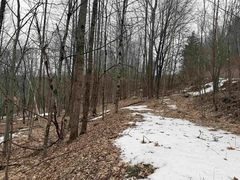 194 Mine Road Strafford VT 05072