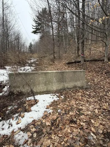 194 Mine Road Strafford VT 05072