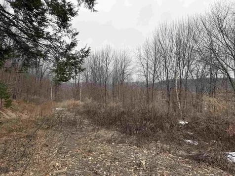 194 Mine Road Strafford VT 05072