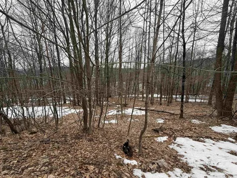 194 Mine Road Strafford VT 05072