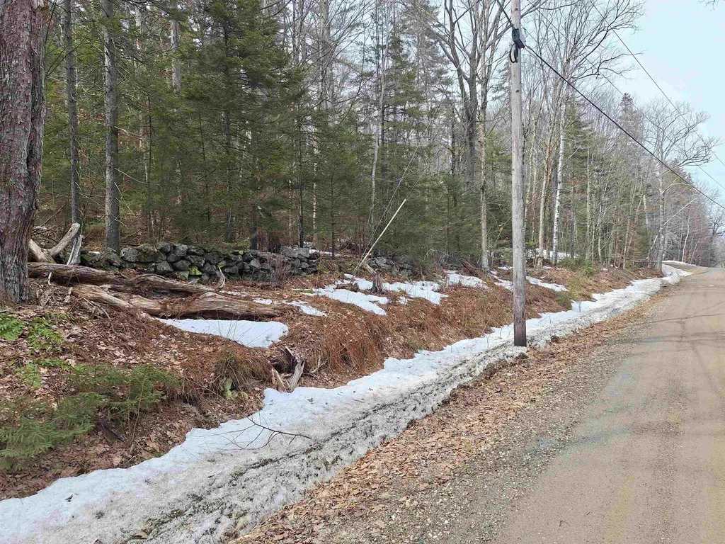 00 Rogers Road Alstead NH 03602