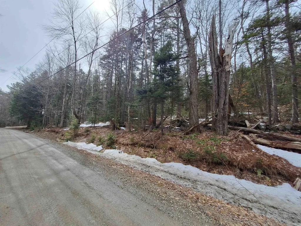 00 Rogers Road Alstead NH 03602