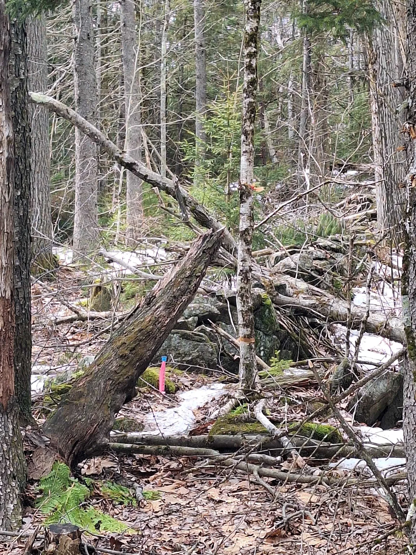 Alstead NH, 00 Rogers Road