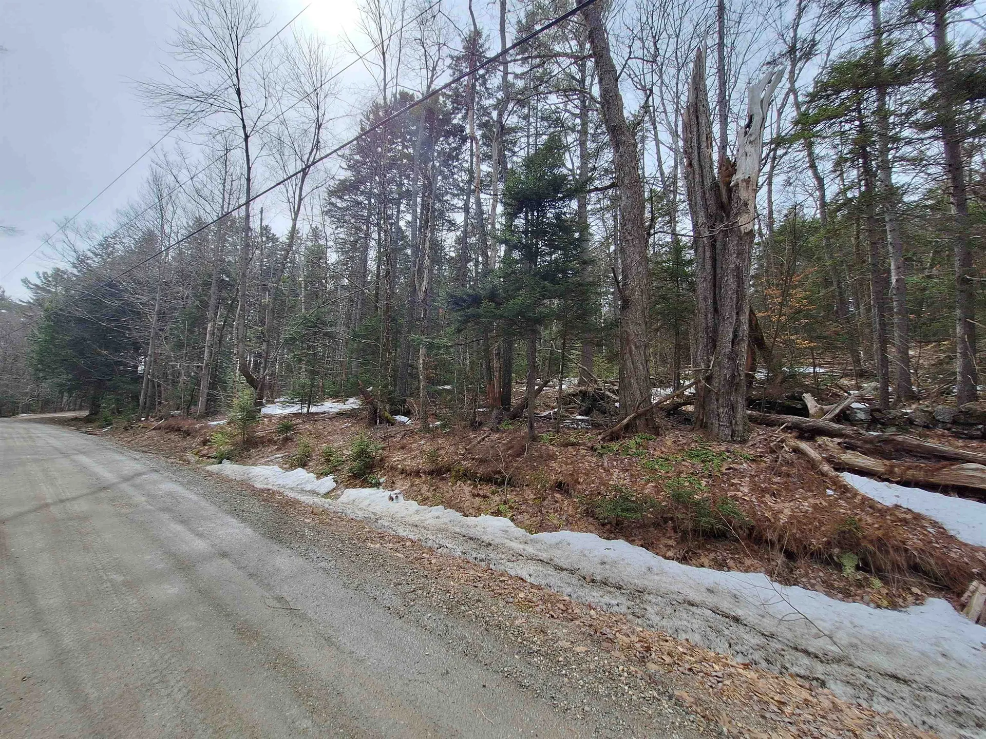 00 Rogers Road Alstead NH 03602