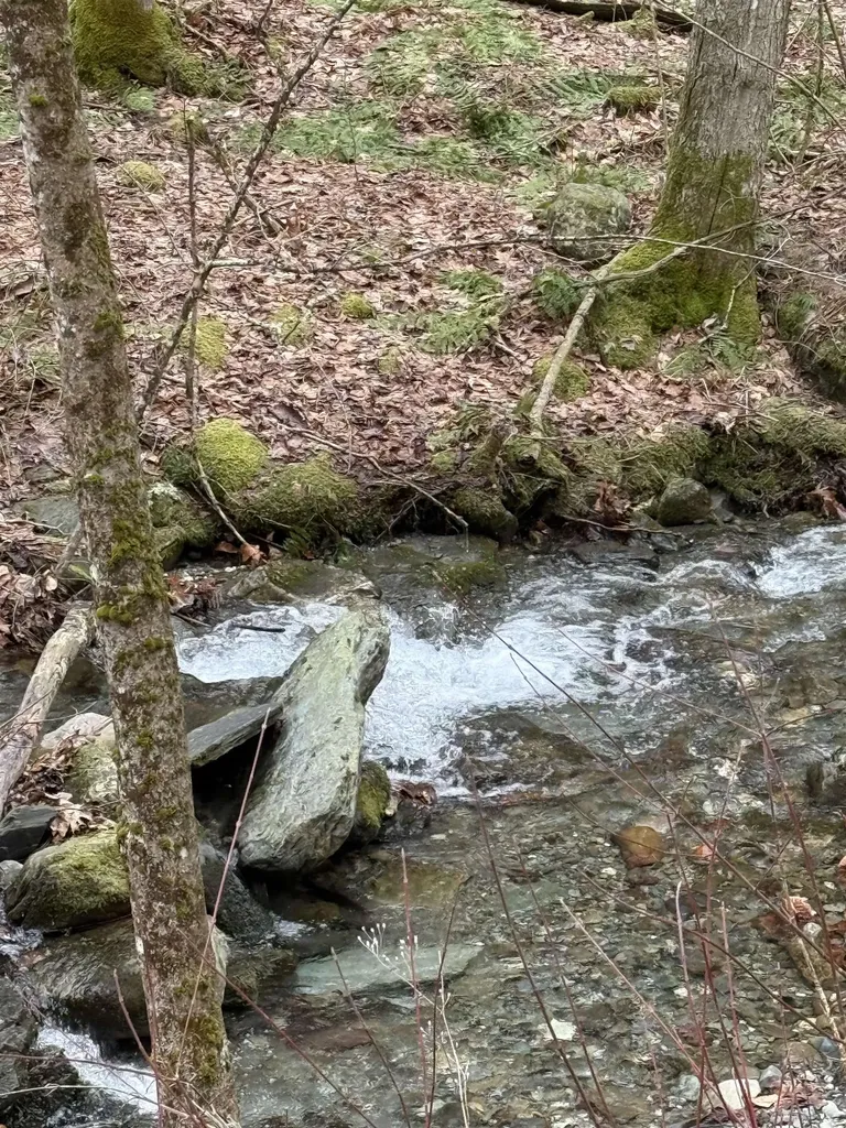 3465 Lamb Hill Road Wells VT 05774