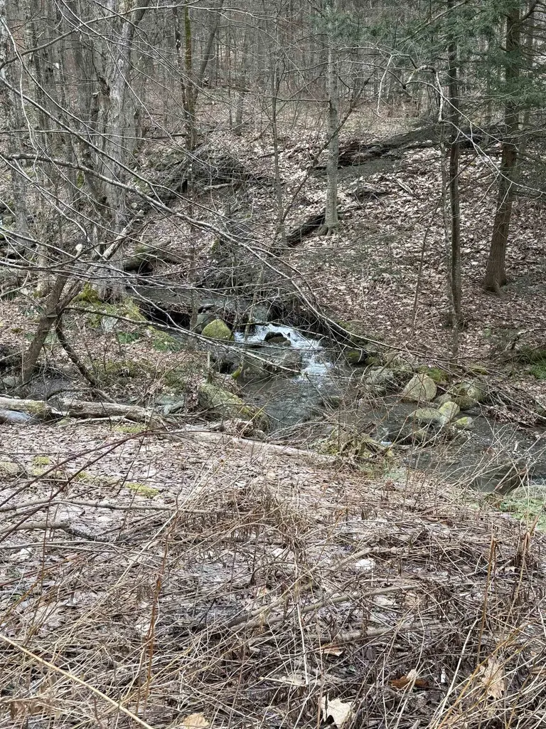 3465 Lamb Hill Road Wells VT 05774