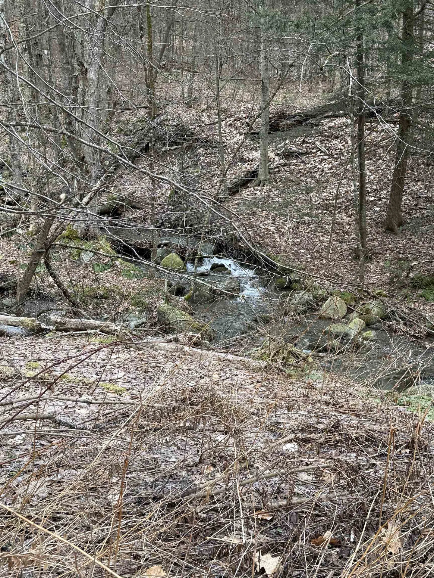 3465 Lamb Hill Road Wells VT 05774
