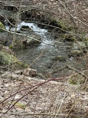 3465 Lamb Hill Road Wells VT 05774