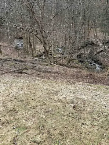 3465 Lamb Hill Road Wells VT 05774