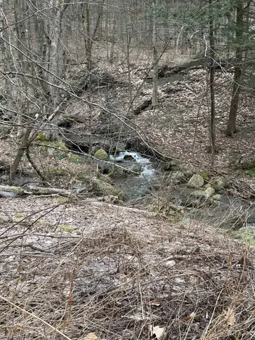 3465 Lamb Hill Road Wells VT 05774