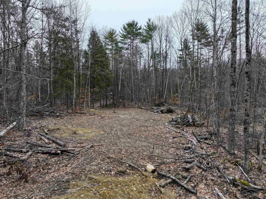 Tbd Mcconnell Road Brandon VT 05733