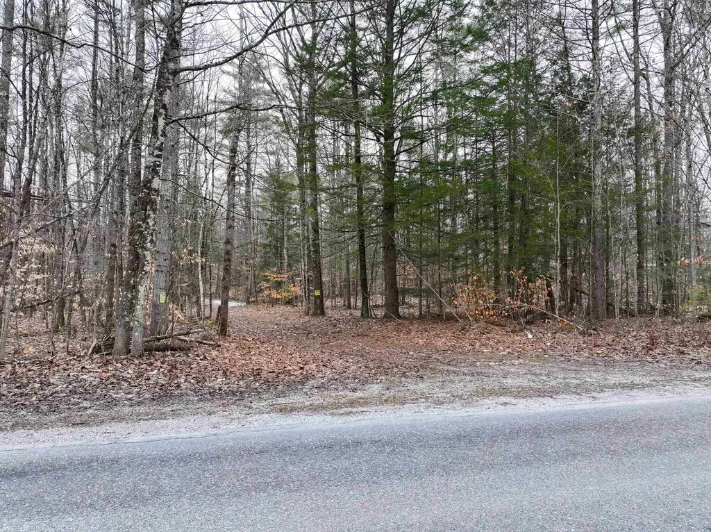 Tbd Mcconnell Road Brandon VT 05733