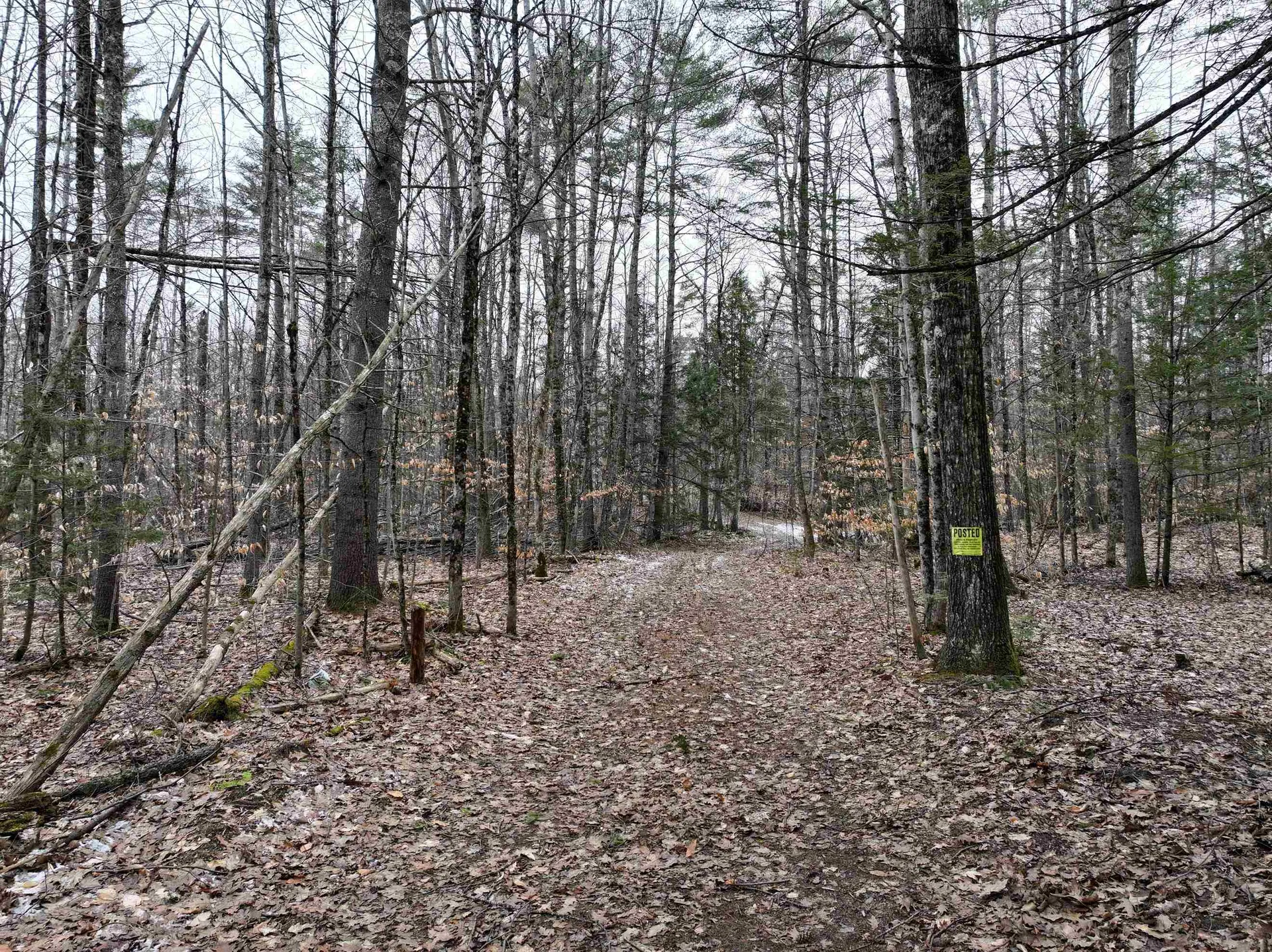 Tbd Mcconnell Road Brandon VT 05733