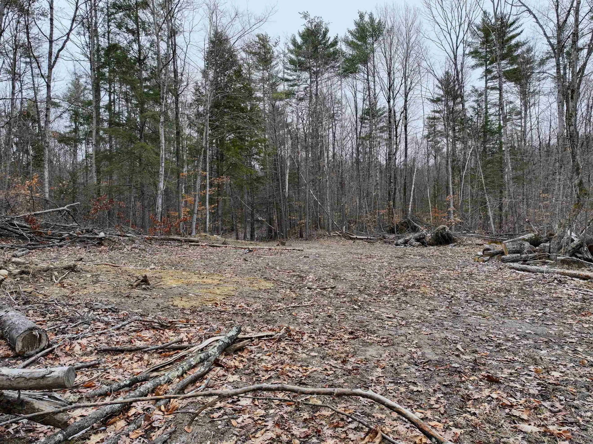 Tbd Mcconnell Road Brandon VT 05733
