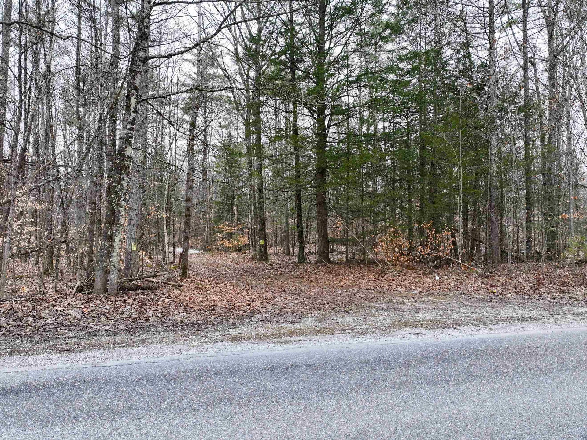 Tbd Mcconnell Road Brandon VT 05733