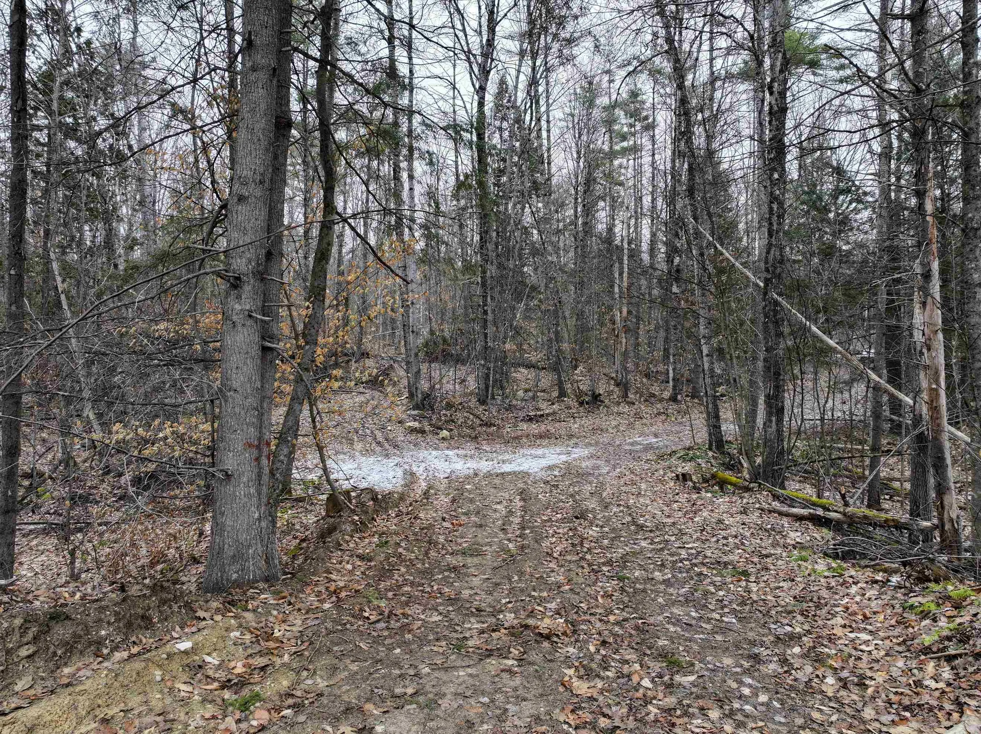 Tbd Mcconnell Road Brandon VT 05733
