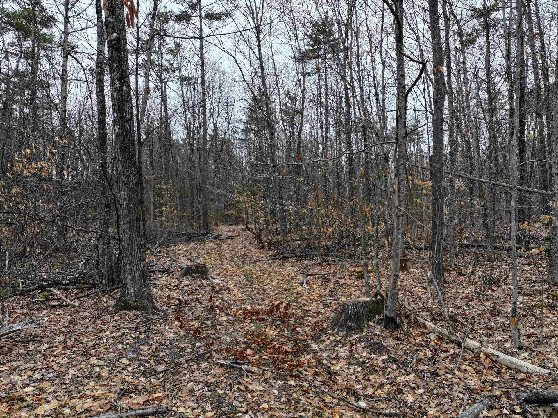 Tbd Mcconnell Road Brandon VT 05733