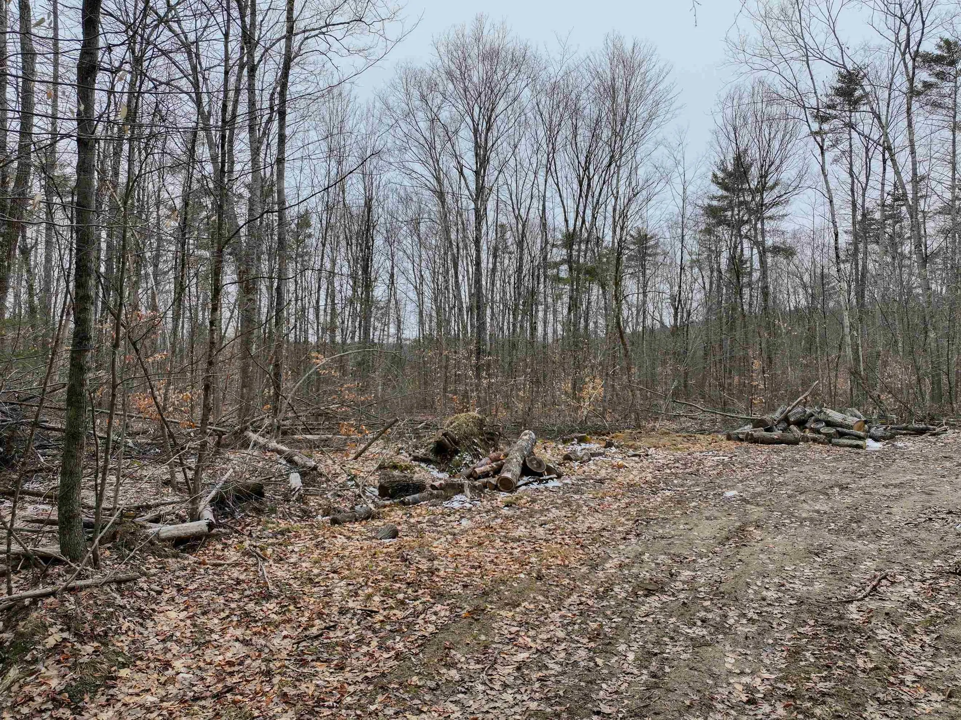 Tbd Mcconnell Road Brandon VT 05733