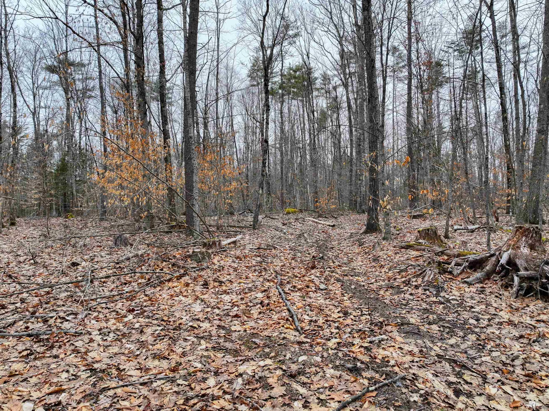 Tbd Mcconnell Road Brandon VT 05733