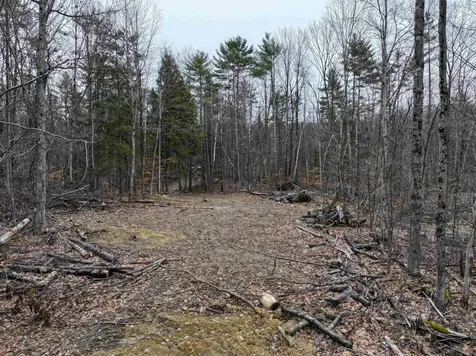 Tbd Mcconnell Road Brandon VT 05733