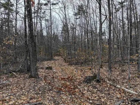 Tbd Mcconnell Road Brandon VT 05733