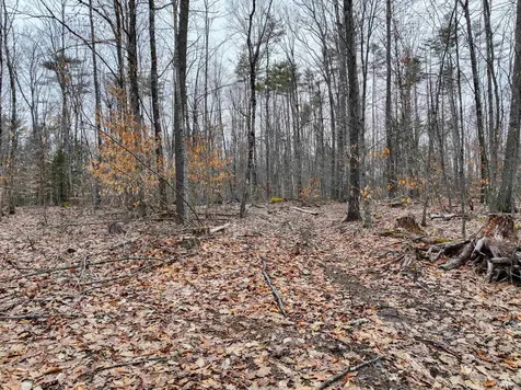 Tbd Mcconnell Road Brandon VT 05733