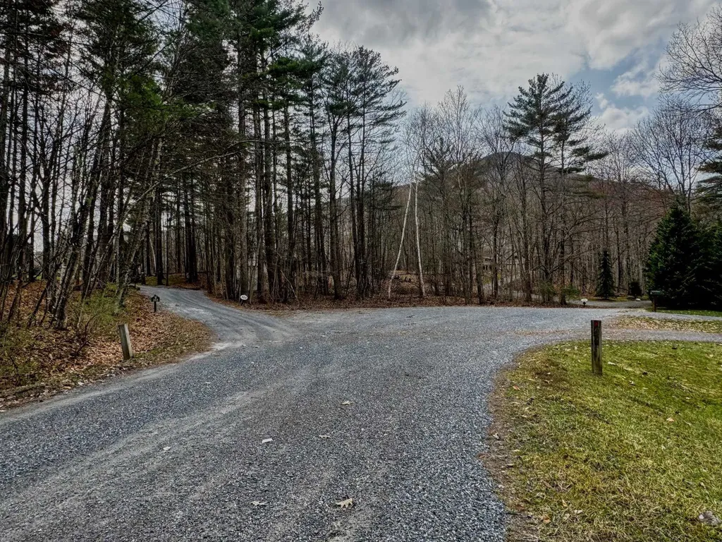 358 Birch Grove Arlington VT 05250